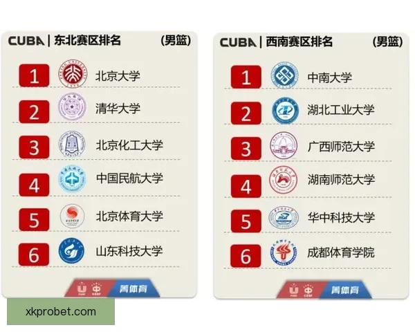 体育竞猜赔率解析与投注策略全面指南提升胜率技巧